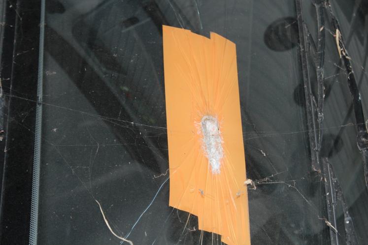 Sacré coup de bec...