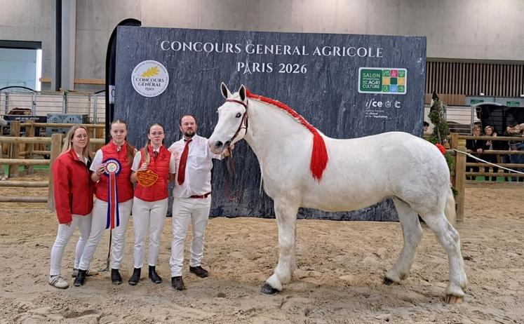 La passion et le travail de la famille Patout (Villeneuve-en-Perseigne) sont de nouveau récompensés par une 3e position de Noblesse d'Atout (pouliche de moins de 3 ans - catégorie modèle et allure). Une reconnaissance qui illustre la qualité et la régularité de cet élevage : Noblesse d'Atout est la fille de Jétrière d'Atout (classée 4e au concours de Paris 2022) et petite fille d'Etrière d'Atout (4e de l'édition 2014).
