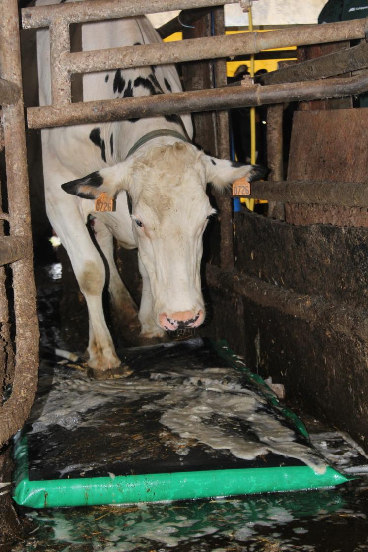 Le tapis est à changer environ tous les deux mois.