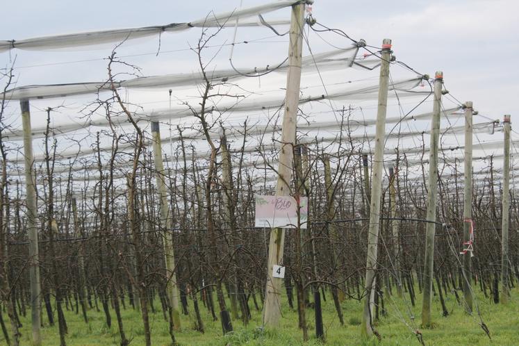 L'exploitation compte 6,5 ha en bio.