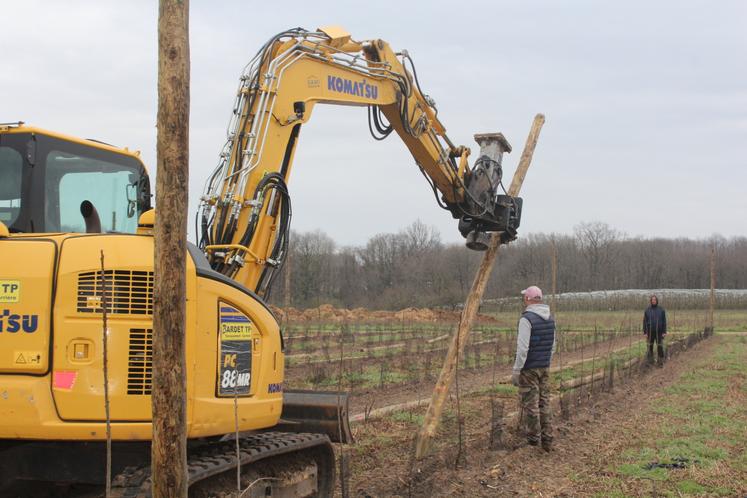 Le chantier de verger de cerises est assuré par Bardet TP, entreprise de Vaas.