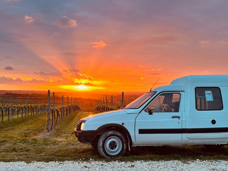 C 15 avec un C comme Culte.