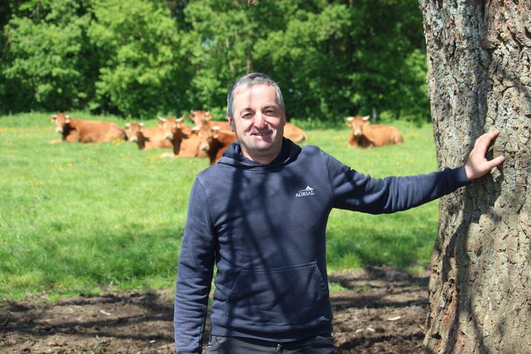 L'EARL de Chagon élève aussi 45 Limousines.