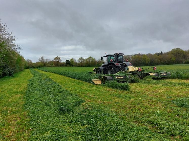 La faucheuse conditionneuse est équipée de tapis, qui peuvent être enlevés pour faire du foin.