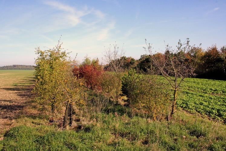 L'arrêté autorise l'accès aux parcelles " closes ou non closes ". L'administration affirme que ces inventaires ne sont qu'une " simple observation visuelle ".