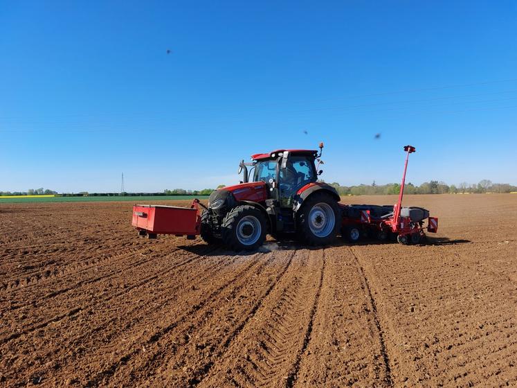 Le semoir Horsch à surpression assure une profondeur régulière.