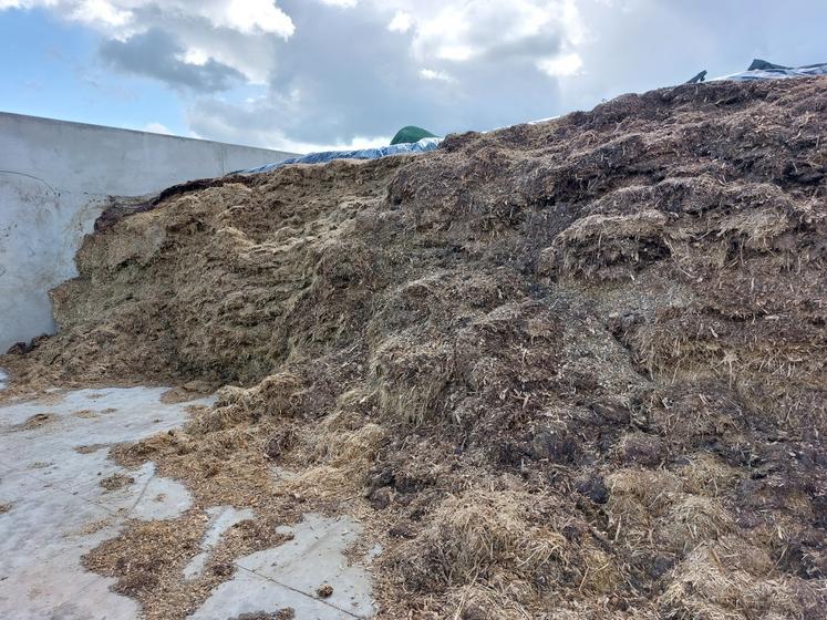 Du seigle ensilé est apporté dans la ration du méthaniseur.