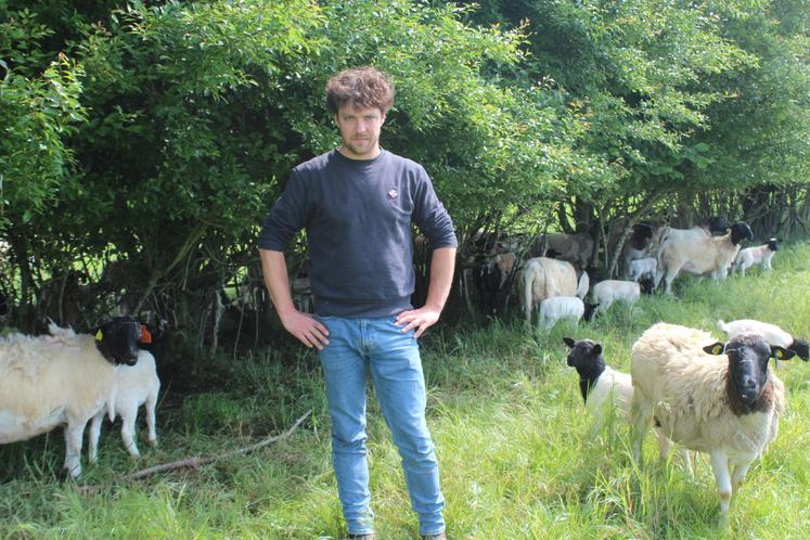 "En termes d'énergie et de qualité, l'enrubannage est très intéressant, même si c'est plus coûteux et plus chronophage en distribution à cause d'un déroulage quotidien.", selon Guillaume Joyau.