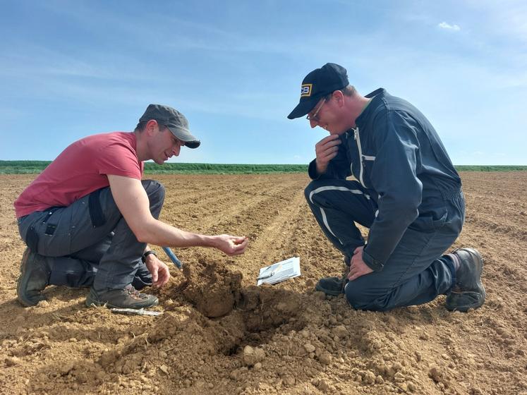 Alexandre Hatet a fait un tour des parcelles de Florian pour affiner la stratégie à mettre en place, le 9 avril.