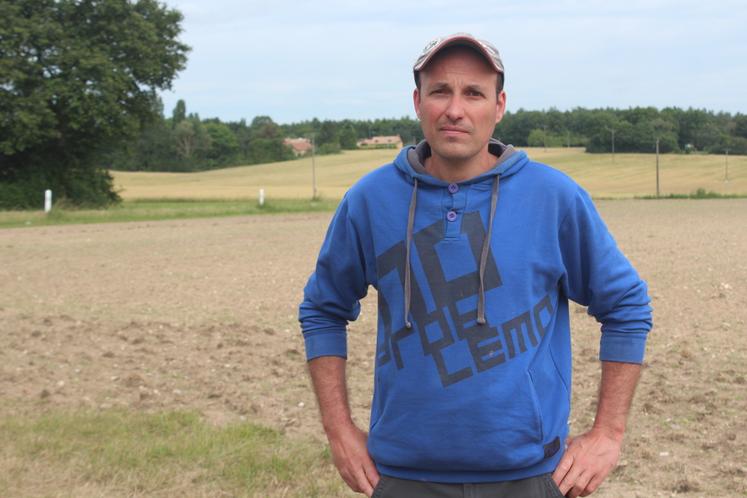Mickaël Saussereau sur sa parcelle de millet, semée fin mai à Surfonds. Il exploite un bâtiment Huttepain de 1 400 m2.