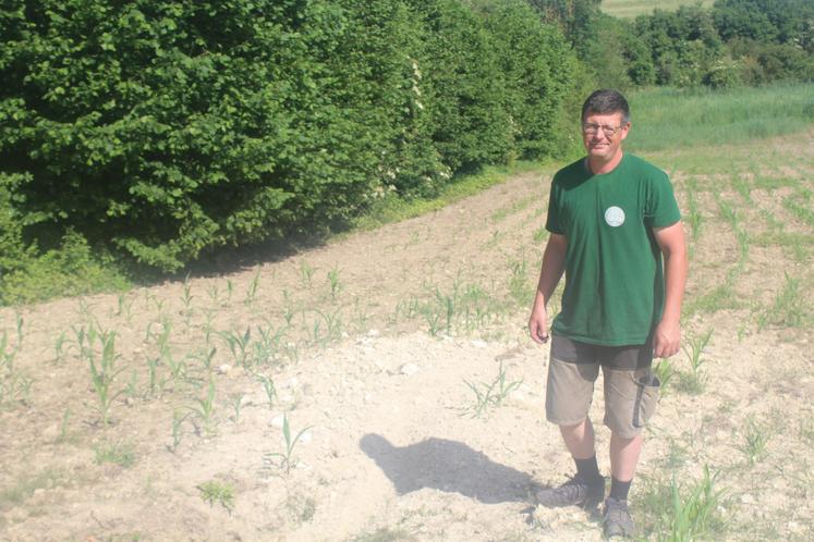 Kevin Chartrain, devant un trou rebouché en vain. Il est associé avec son frère Florian et son épouse Anabelle au Gaec Chartrain (675 000 litres pour Bel, avec 75 vaches, 175 ha, 3 poulaillers de Loué).