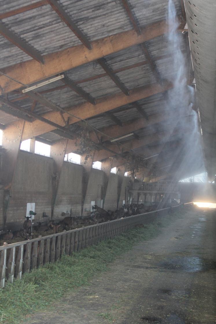 "A 40°C, la brume ne suffit pas."