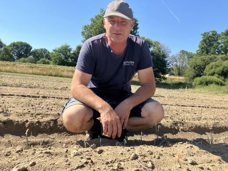 Rodolphe Seuru, dans une parcelle de jeunes poireaux grillés, se décourage face à des conditions de travail de plus en plus difficiles.
