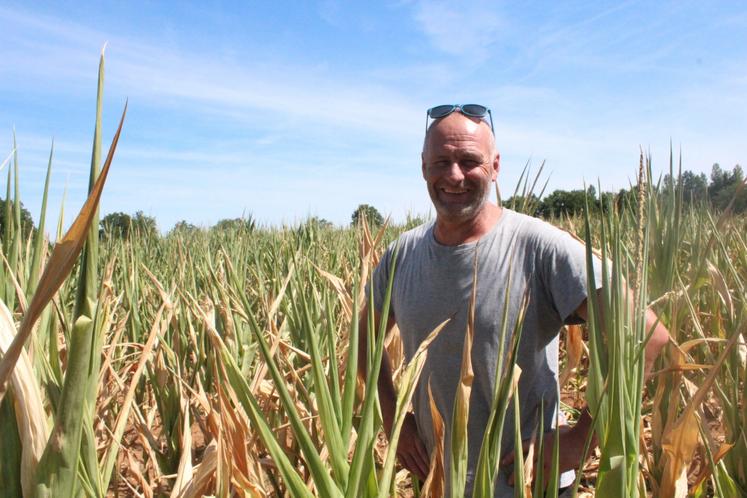 Anthony Peltiot pose avec le sourire pour la photo mais fulmine quand il voit l'état de ses maïs sur l'une de ses parcelles au Terreau, à Louplande.