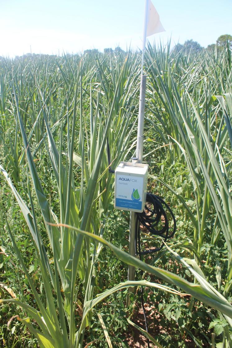 Une sonde capacitive pour une irrigation précise.