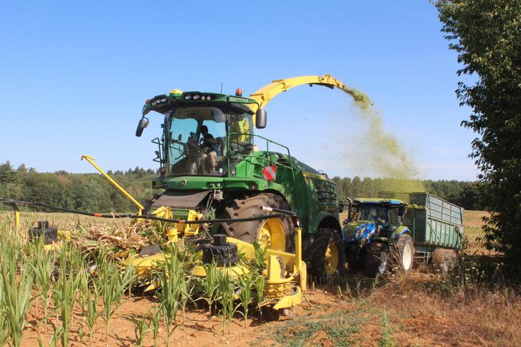 Un ensilage presque "à la fraîche" lundi 20 juillet dans la matinée.