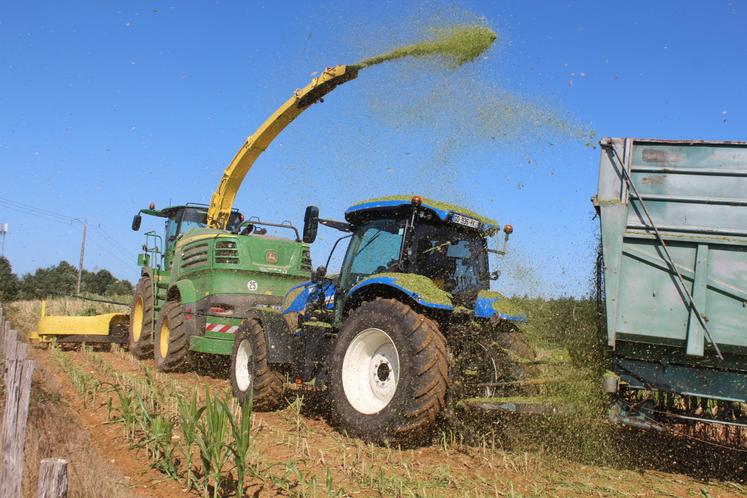 Restera une vingtaine d'hectares à ensiler en août.