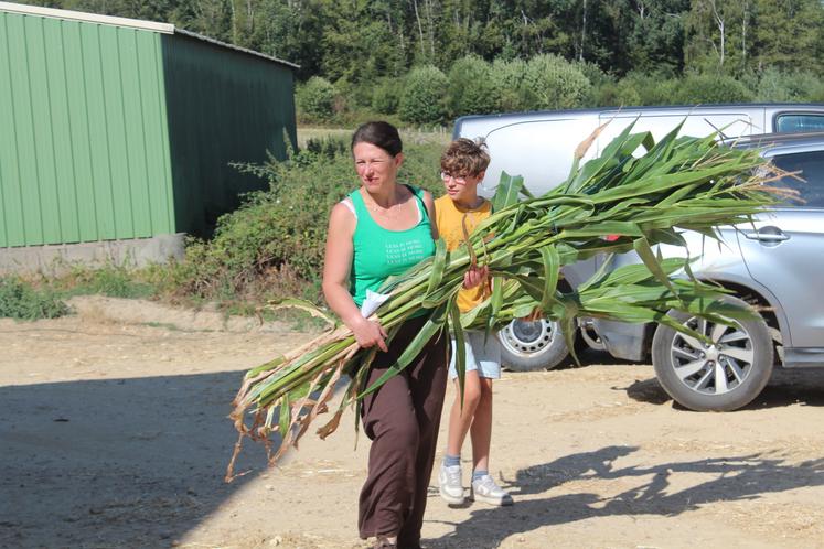 La prochaine journée MS de Seenovia se déroulera le 3 août à Mayet le matin et Assé-le-Boisne l'après-midi.