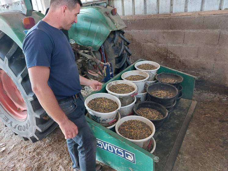 Arthur Plet complète sa ration avec un aliment composé.