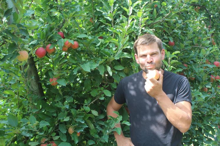 L'arboriculteur reste positif: "Continuez à manger des pommes !"