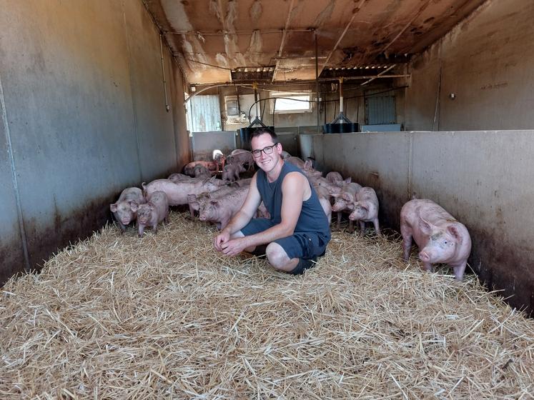 Anthony Guilmet s'est installé en production de porcs Label LPS en 2024.