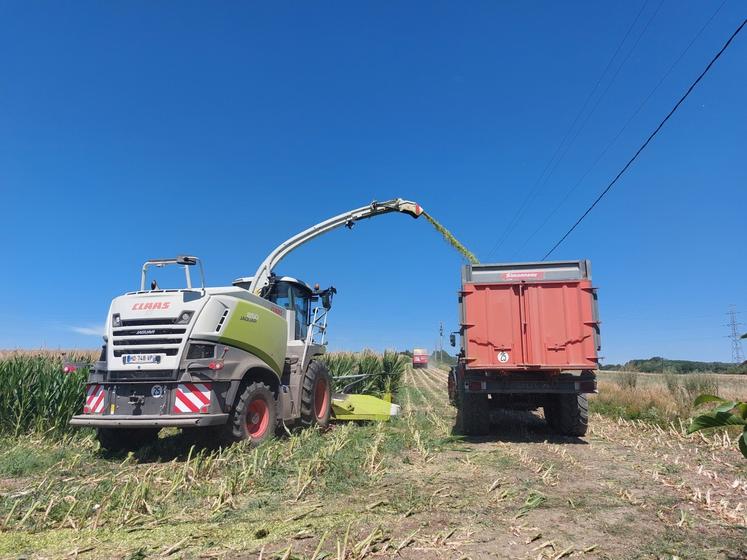 Le chantier a été réalisé par l'ensileuse de la Cuma de Bouloire.
