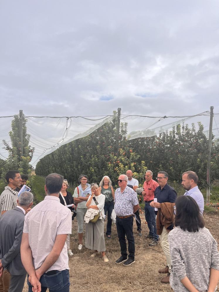 Visite du verger irrigué de M. Timmerman et son système en goutte-à-goutte.