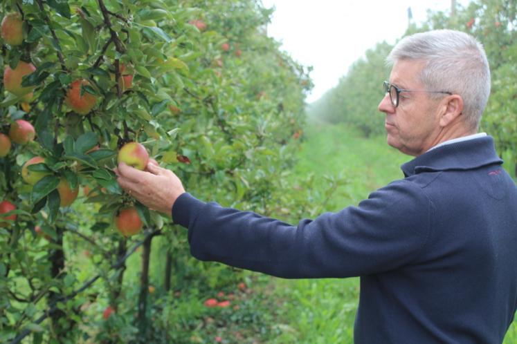 Dany Fouquet est arboriculteur depuis presque 40 ans.