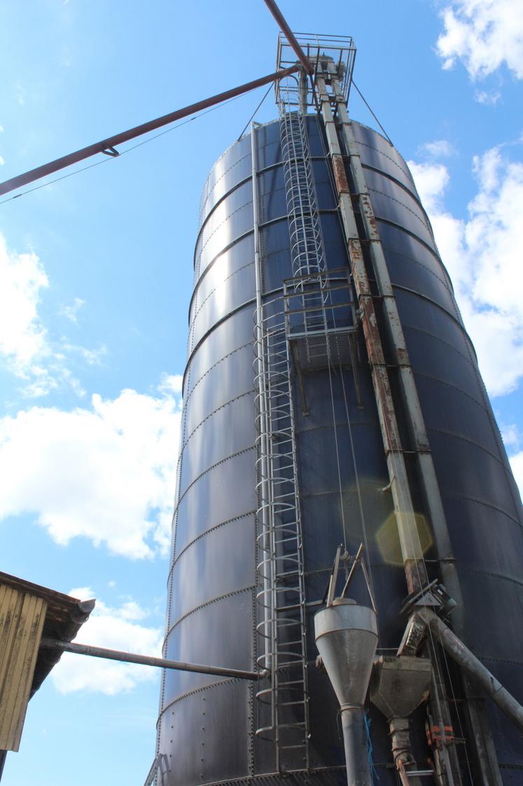 Beaucoup de silos-tours sont vides. "C'est du jamais vu", indique Florence Maupertuis, chargée de mission filière porcine à la Chambre d'agriculture des Pays-de-la-Loire