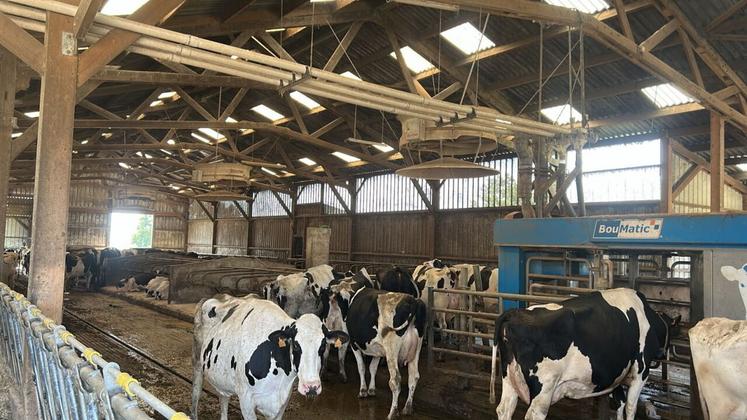 Les investissements éligibles concernent l'amélioration du logement des animaux pour réduire la température.