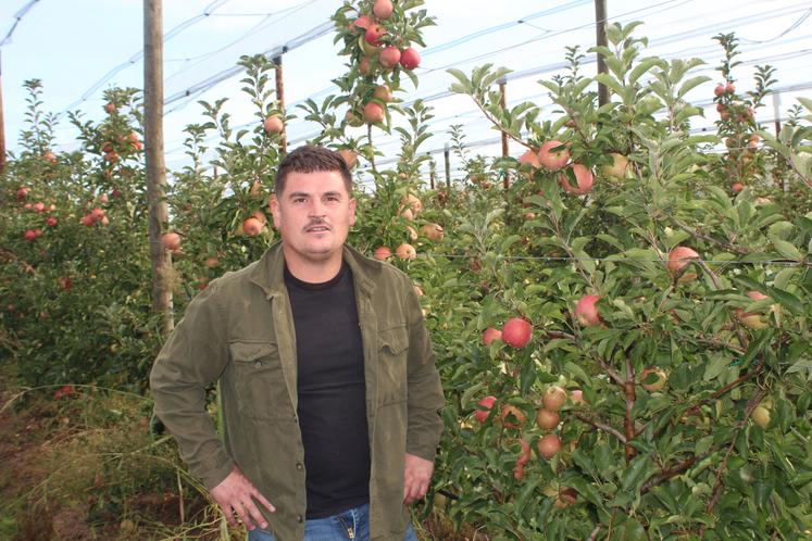 Robin Péan devant les dernières variétés à cueillir à la fin du mois.