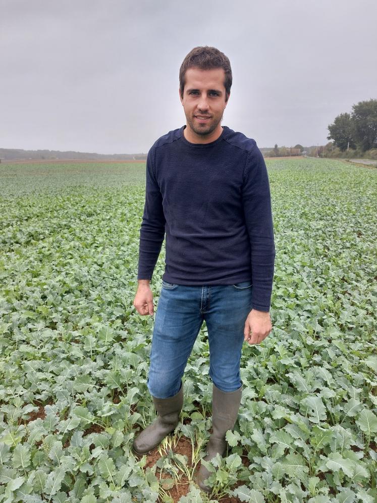 Mathieu Leroy implante chaque année du colza fourrager qu'il distribue en vert à l'autochargeuse, à son troupeau.