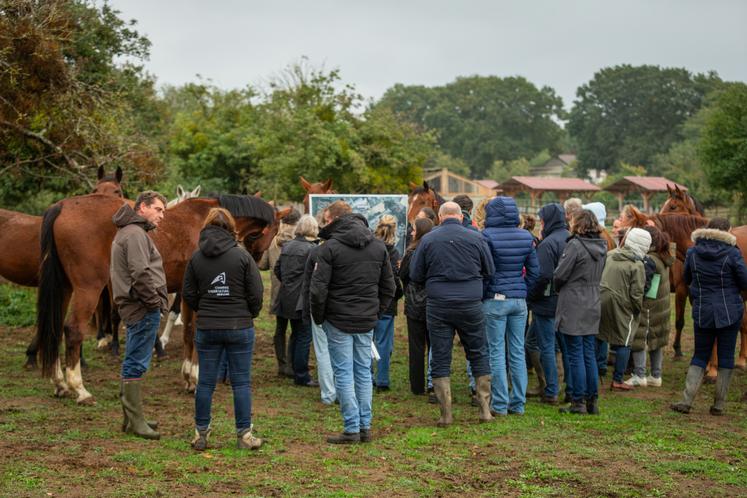 Le 20 octobre, l'IFCE a organisé une journée technique d'échange et de restitution du projet EUnetHorse, à Courcemont. Une visite de l'exploitation de Sophie et Hervé Dugué était prévue l'après-midi.