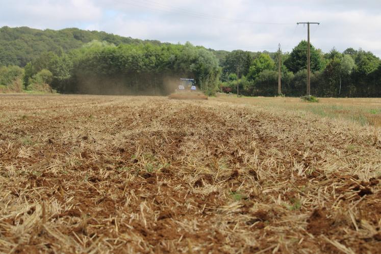 La couverture des sols précédant les semis de 2027 pourra être assurée par de simples repousses spontanées ou le broyage/enfouissement des cannes de maïs et sorgho.
