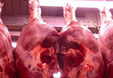 Les activistes ont déversé du faux sang sur l’étal, rendant la viande impropre à la consommation, rapporte la victime.