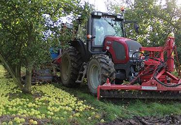 Agrial estime que sa récolte atteindra 125 000 T de pommes cette année.