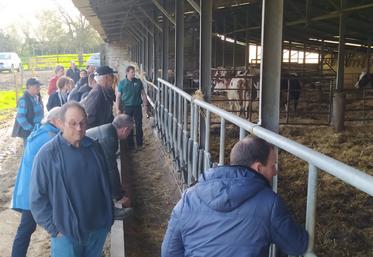 Les adhérents au syndicat de la race saosnoise sont allés visiter l'élevage de Lucas Paris, à Saint-Martin-des-Monts, hier après-midi.