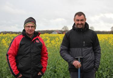 Eric Chauvin et Jérémy Despins, du Gaec des Vaches ensoleillées, à Ruillé-sur-Loir, conduisent un troupeau de 70 VL et une SAU de 200 hectares, dont 125 ha de blé, orge, colza, pois, 35 ha de maïs et 30 ha de prairies.