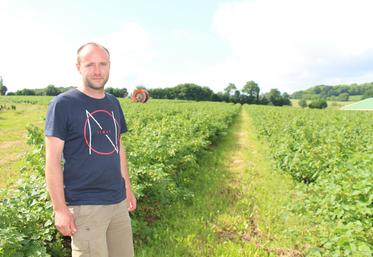 Frédéric Fougeray irrigue en goutte-à-goutte sur 29 hectares pour les productions de cassis, groseilles et noisettes.