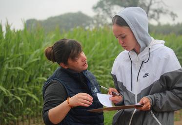 Cassandra Bourmault et Chloé, une cheffe d'équipe. A droite, Philippe, un retraité saisonnier en pleine forme. En bas, les premières soies...