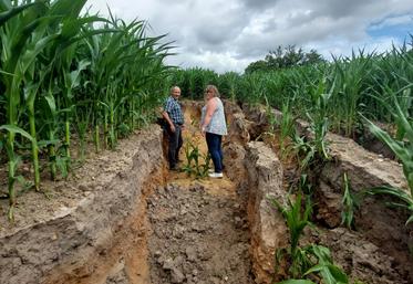 Les parcelles accueillant  des cultures de printemps, comme le maïs, ont subi des ravinements importants, détruisant la structure du sol.