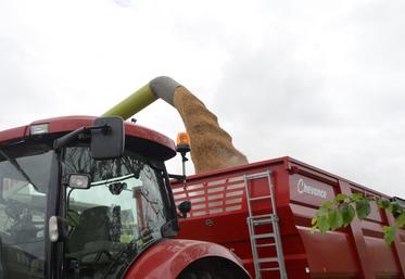 La moisson 2024 fera office de premier test grandeur nature pour le nouveau système de gestion des risques, réformé en 2023.