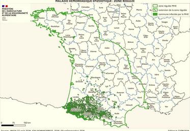 La zone régulée au titre de la MHE au 22 août 2024. Source : ministère de l'Agriculture.