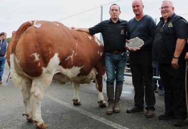 La SCEA Moncellière est rentrée en Maine-et-Loire avec le championnat inter-races femelles grâce à cette Rouge des Prés.