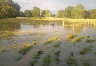 Pour bénéficier de l'Indemnité de solidarité nationale (ISN) en cas de sinistre climatique, la déclaration d'un interlocuteur unique est obligatoire, même en cas de prairies non assurées. Cet interlocuteur unique, qui est un assureur, aura en charge de gérer et de verser l'ISN.