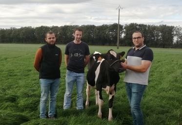 Yohann Lego, Bastien Lenoir, JBL VIA et Joachim Pasquier dans une parcelle du Gaec des Lys à Rahay.