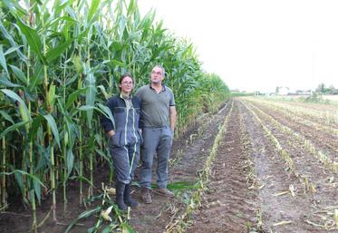 Gilles Pousse, ici avec son apprentie Alice, ensilait du maïs estimé à 28% de MS et en conditions de sol encore très humides.