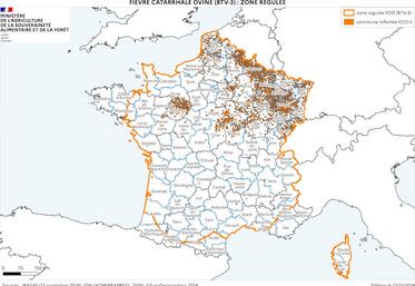 Situation des foyers FCO-3 au 13 novembre 2024