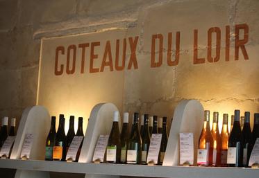 Le vin sous AOC Coteaux du Loir et Jasnières sont vendus sur le marché français (ici à la Maison des vins à la Chartre-sur-le-Loir) et à l'export.