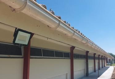 Installation des luminaires sur les bâtiments de volailles.